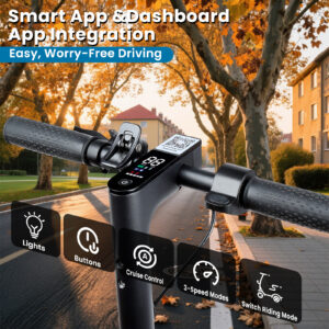 X8 Electric Scooter 350W Motor ( Peak Power 500W) - 图片 2